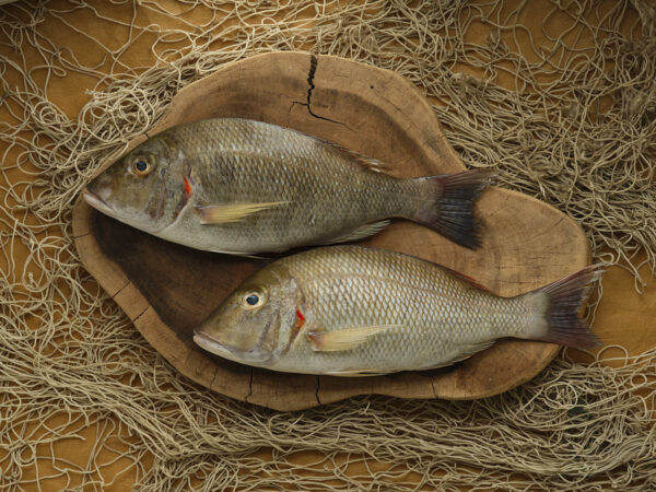 Emperor Fish (1 kg)