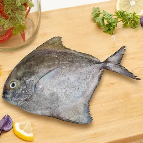 Black Pomfret Small (1 kg)