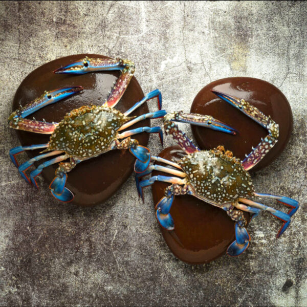 Blue Crab (1 kg)