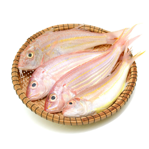 Pink Perch (1 kg)