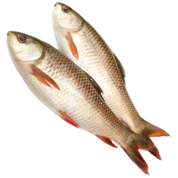 Rohu (1 kg)